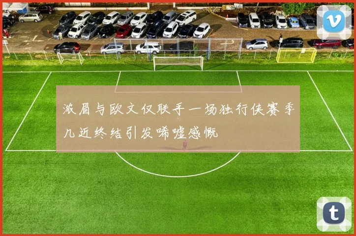 浓眉与欧文仅联手一场独行侠赛季几近终结引发唏嘘感慨